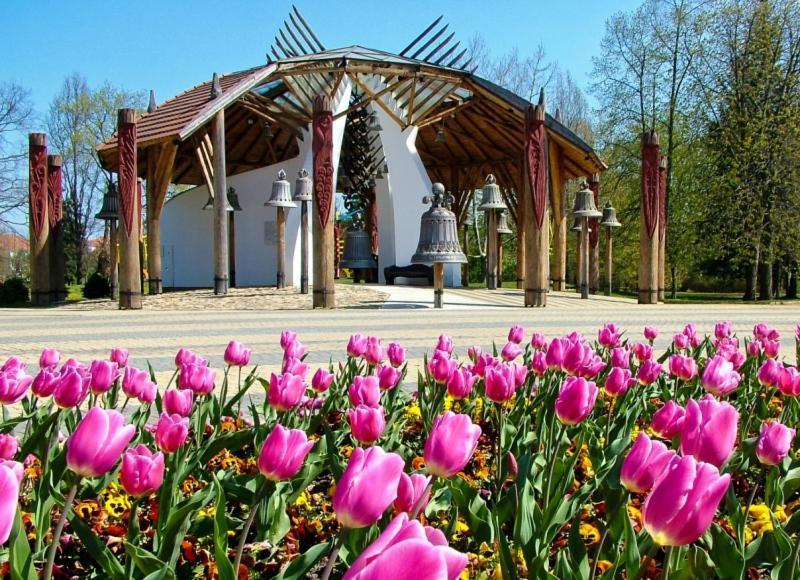 White Stone Apartman Hajduszoboszlo Bagian luar foto